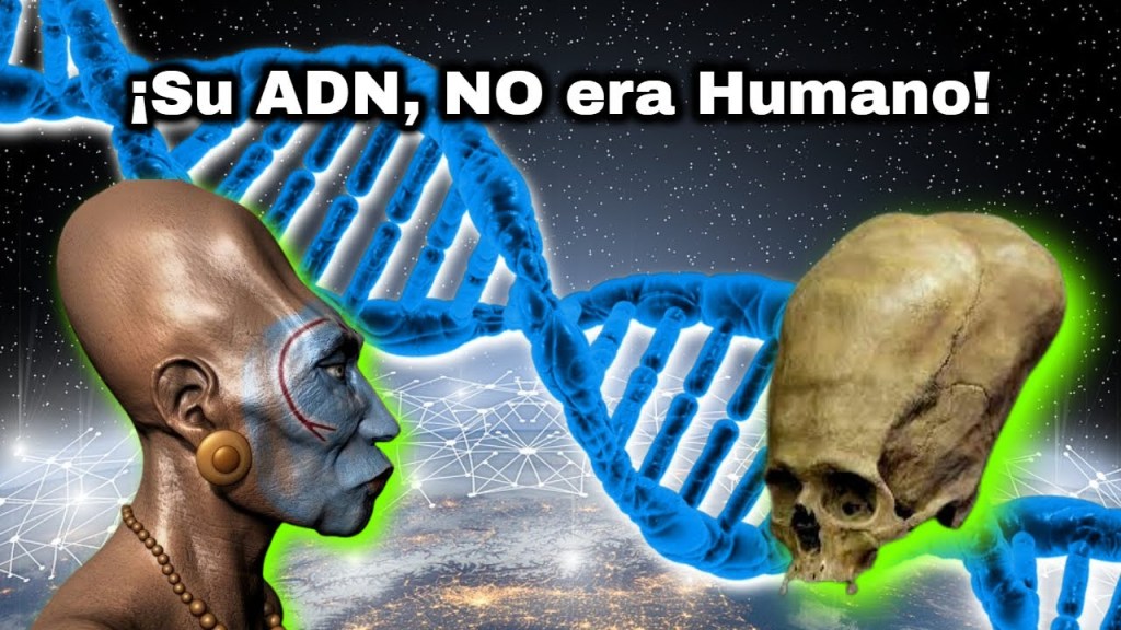 Los Cráneos de Paracas Esconden un Secreto que NO es de La&nbsp;Tierra