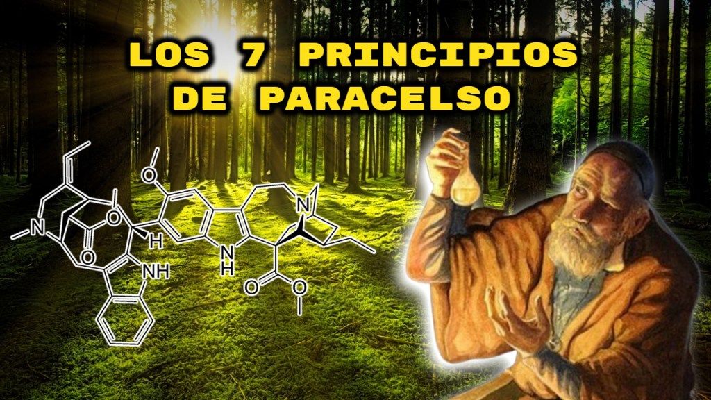 Los 7 Principios de PARACELSO para la&nbsp;Vida